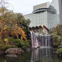 日本庭園は必見