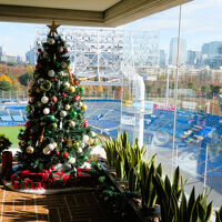 眼下に神宮球場が見えます。