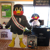 支配鳥がツバクロウ